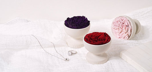 Le Mini™ Aura Vase: Simplicity is the Kiss of French Elegance