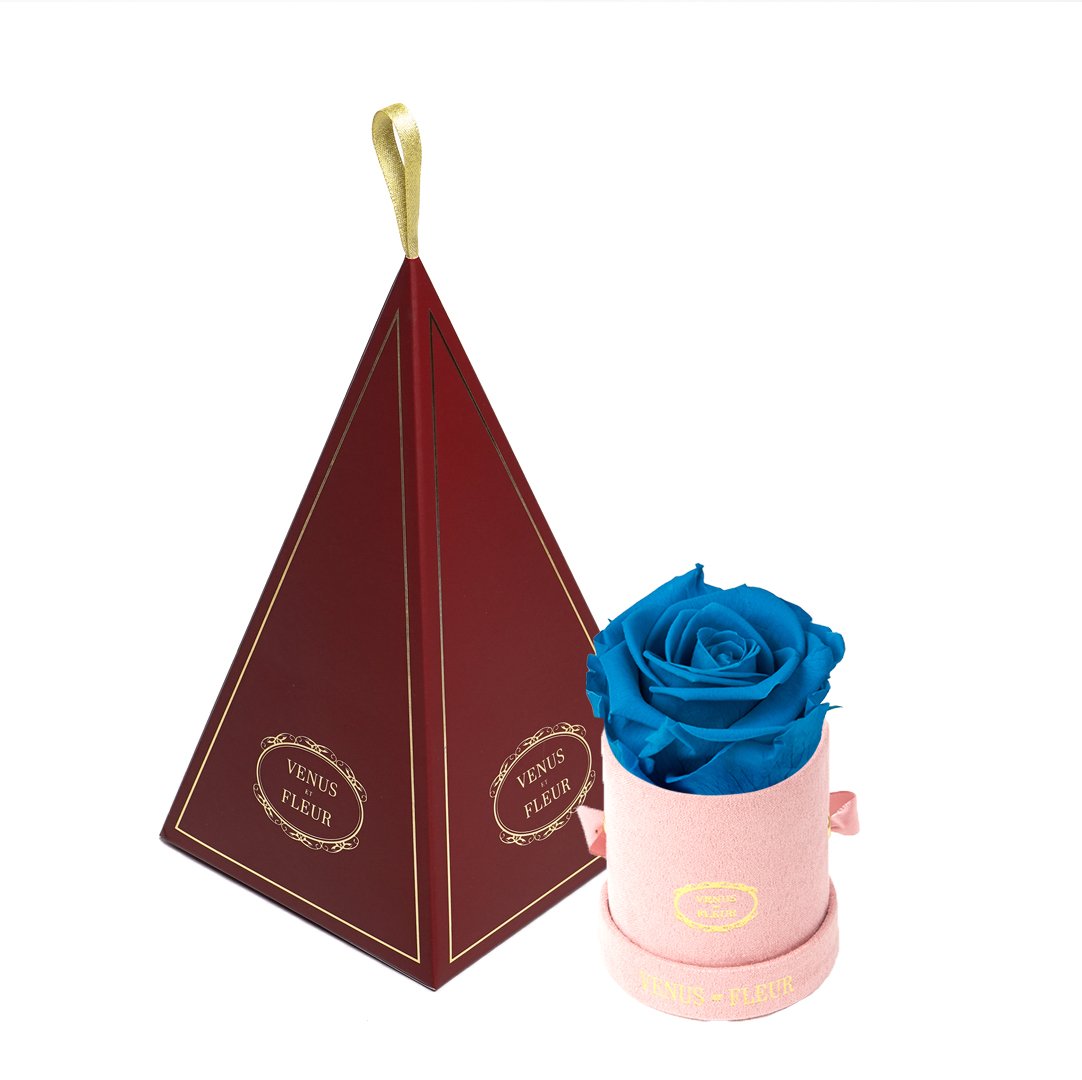 Le Mini™ Ornament