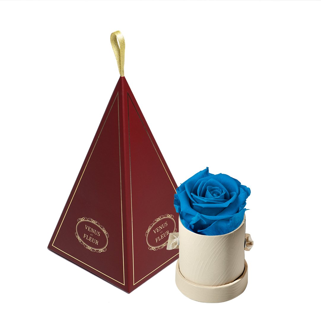 Le Mini™ Ornament