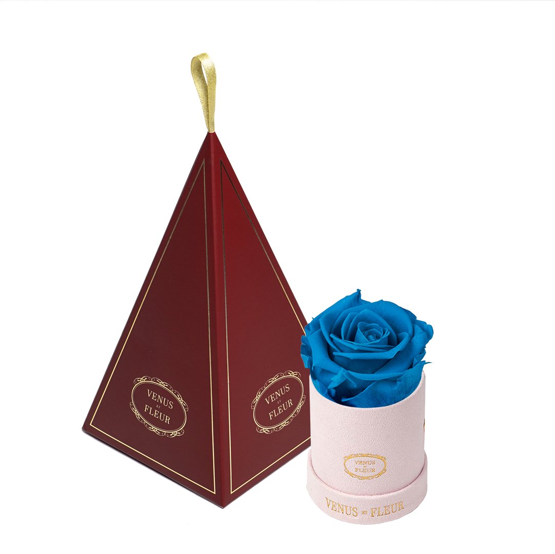 Le Mini™ Ornament