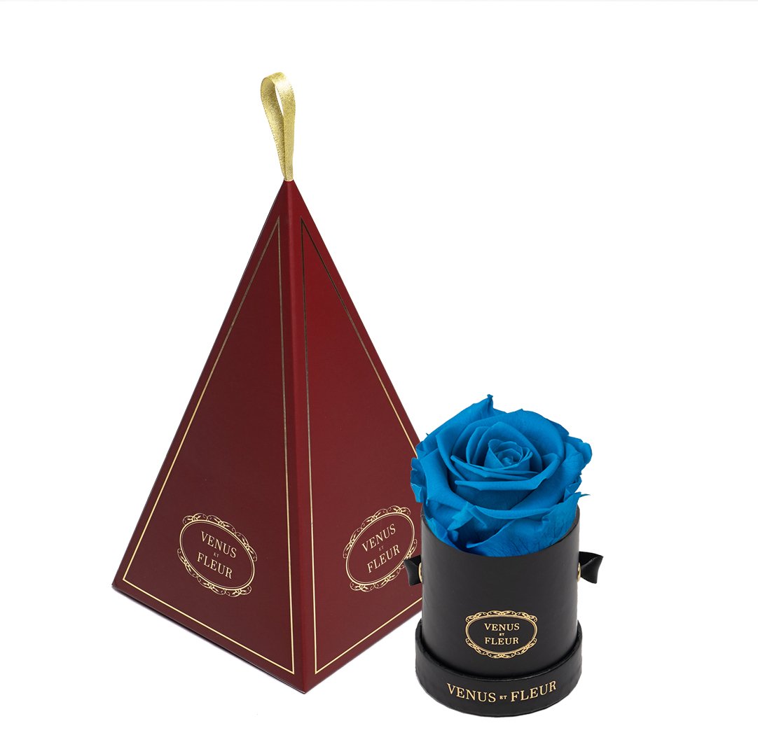Le Mini™ Ornament