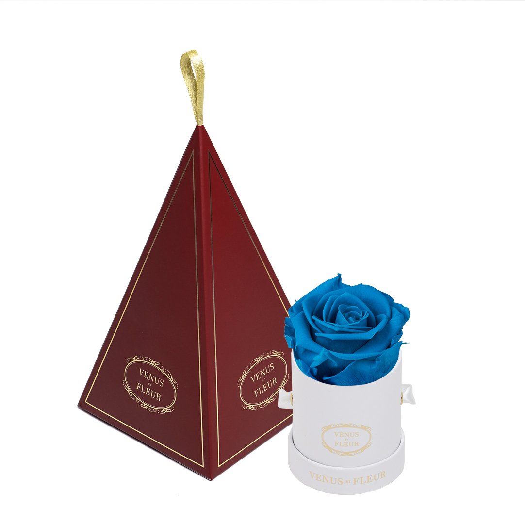 Le Mini™ Ornament