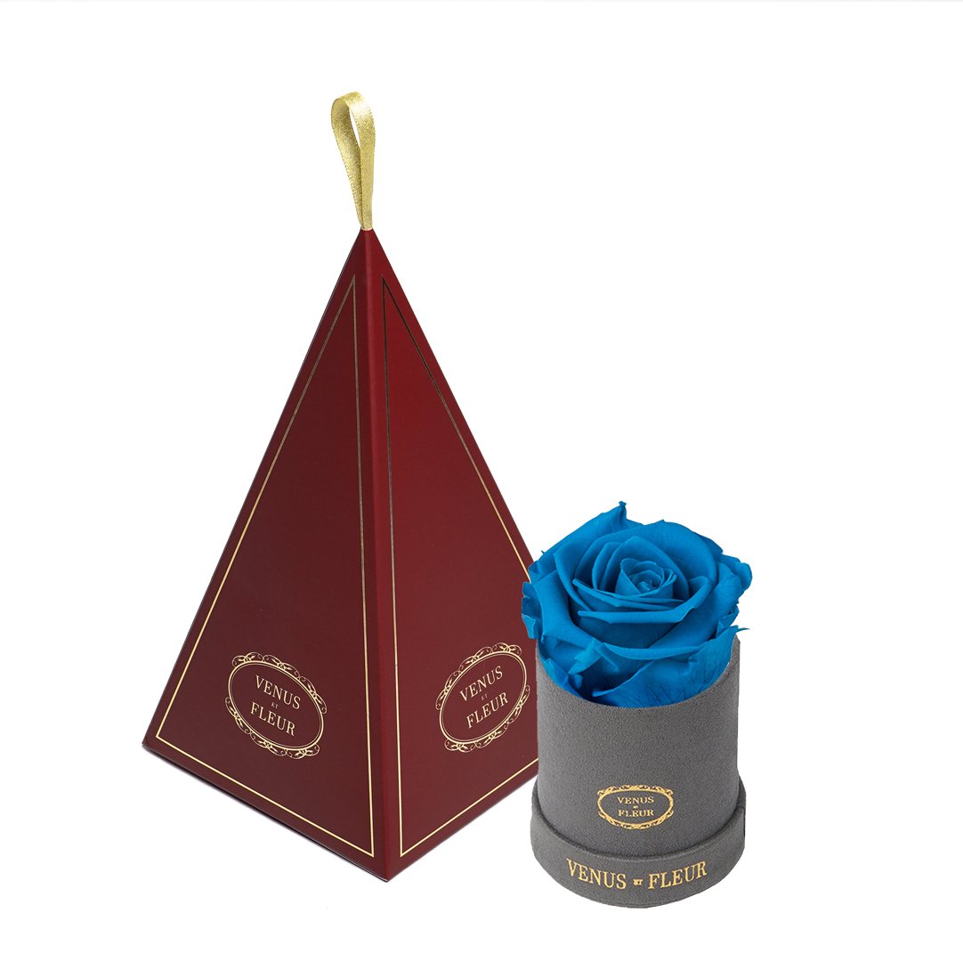 Le Mini™ Ornament