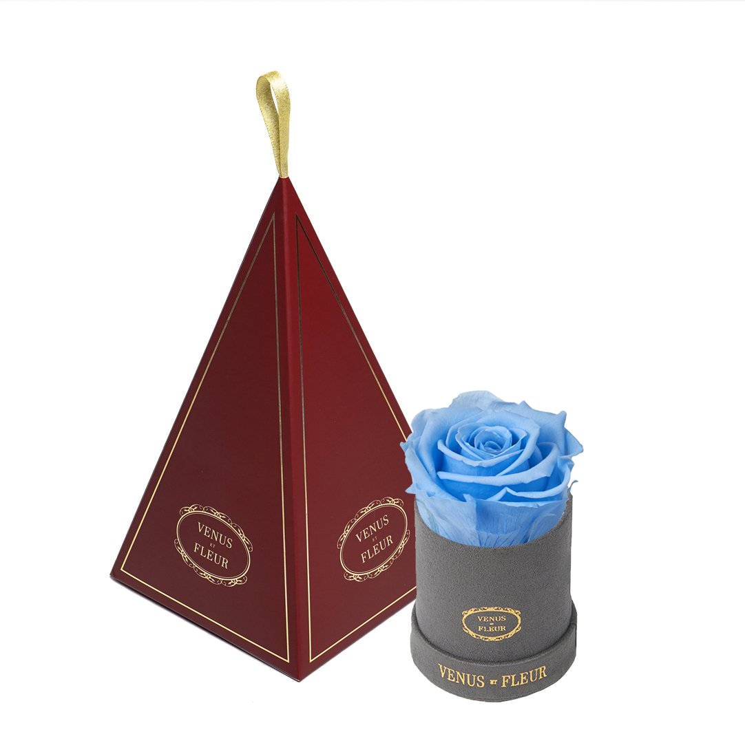 Le Mini™ Ornament