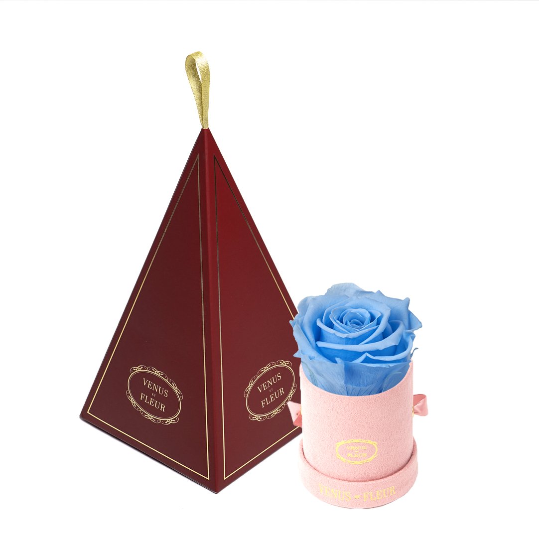 Le Mini™ Ornament