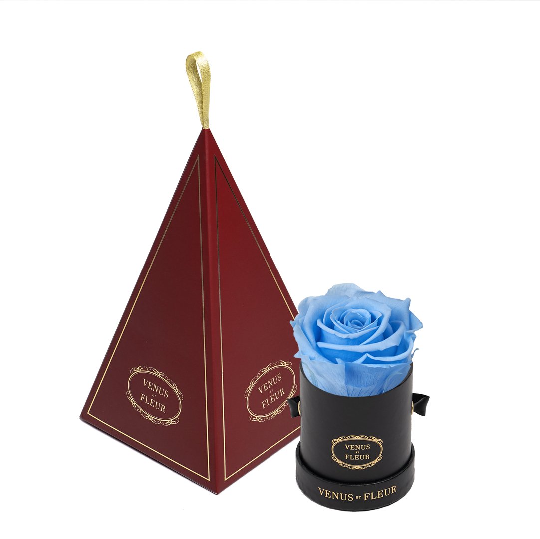 Le Mini™ Ornament