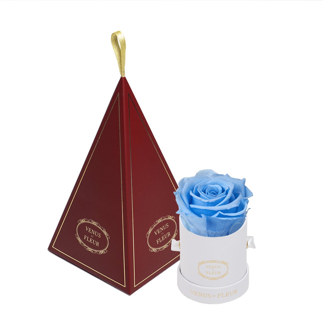 Le Mini™ Ornament