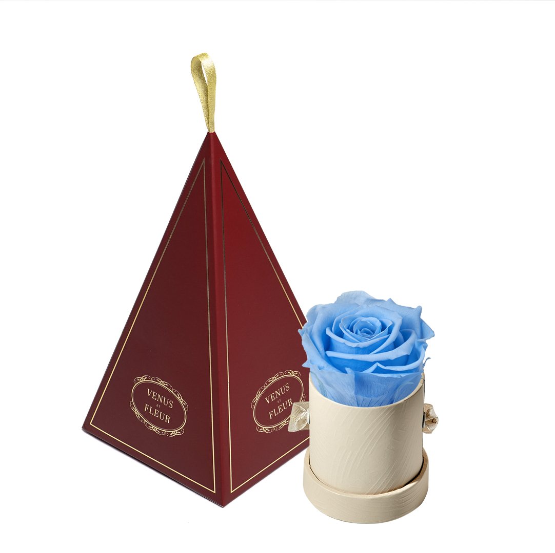 Le Mini™ Ornament