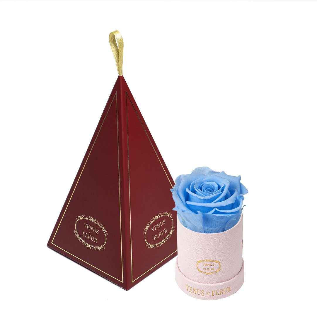Le Mini™ Ornament