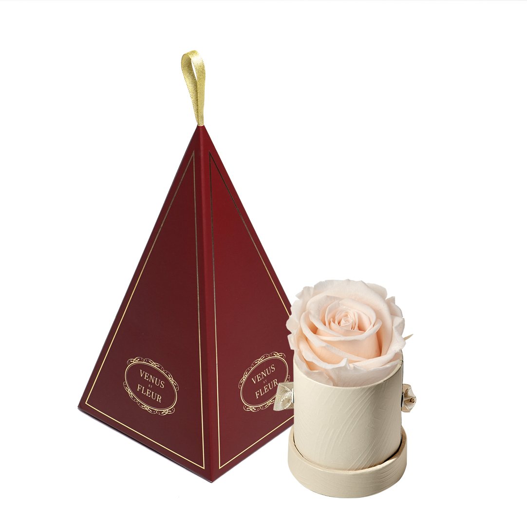 Le Mini™ Ornament