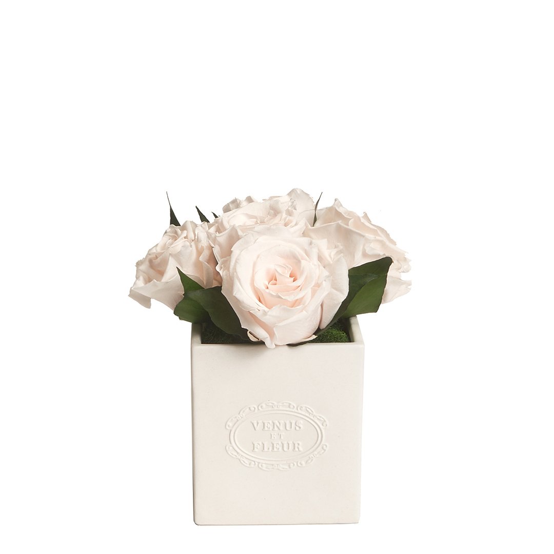 Sylvie Vase