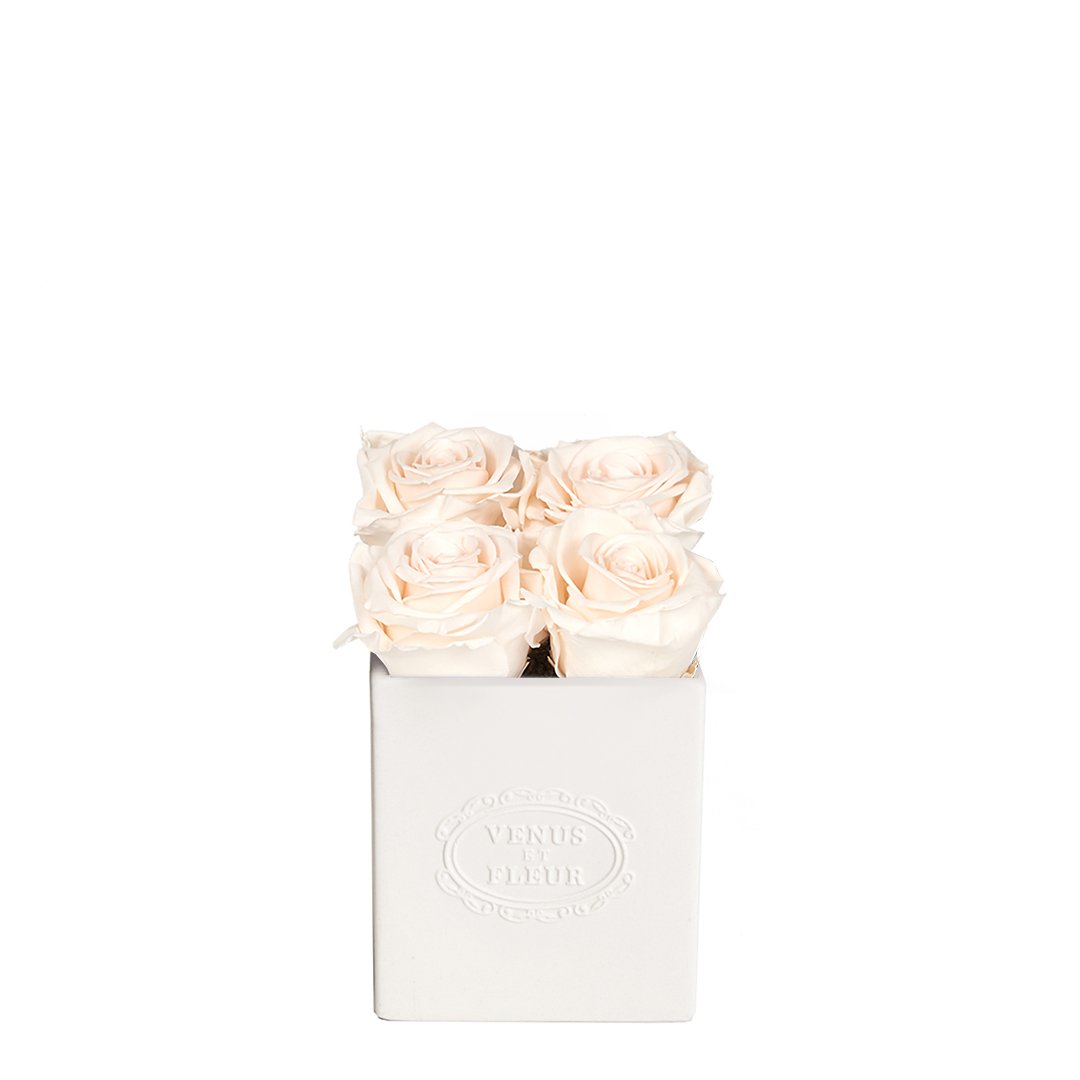 Sylvie Vase