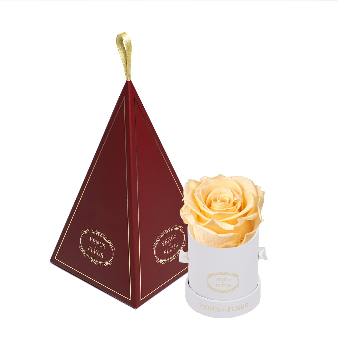 Le Mini™ Ornament