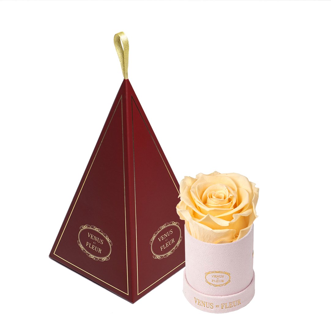 Le Mini™ Ornament