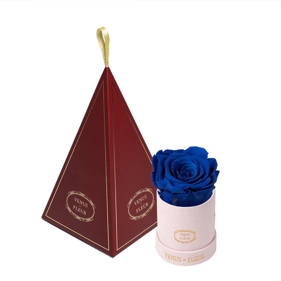 Le Mini™ Ornament