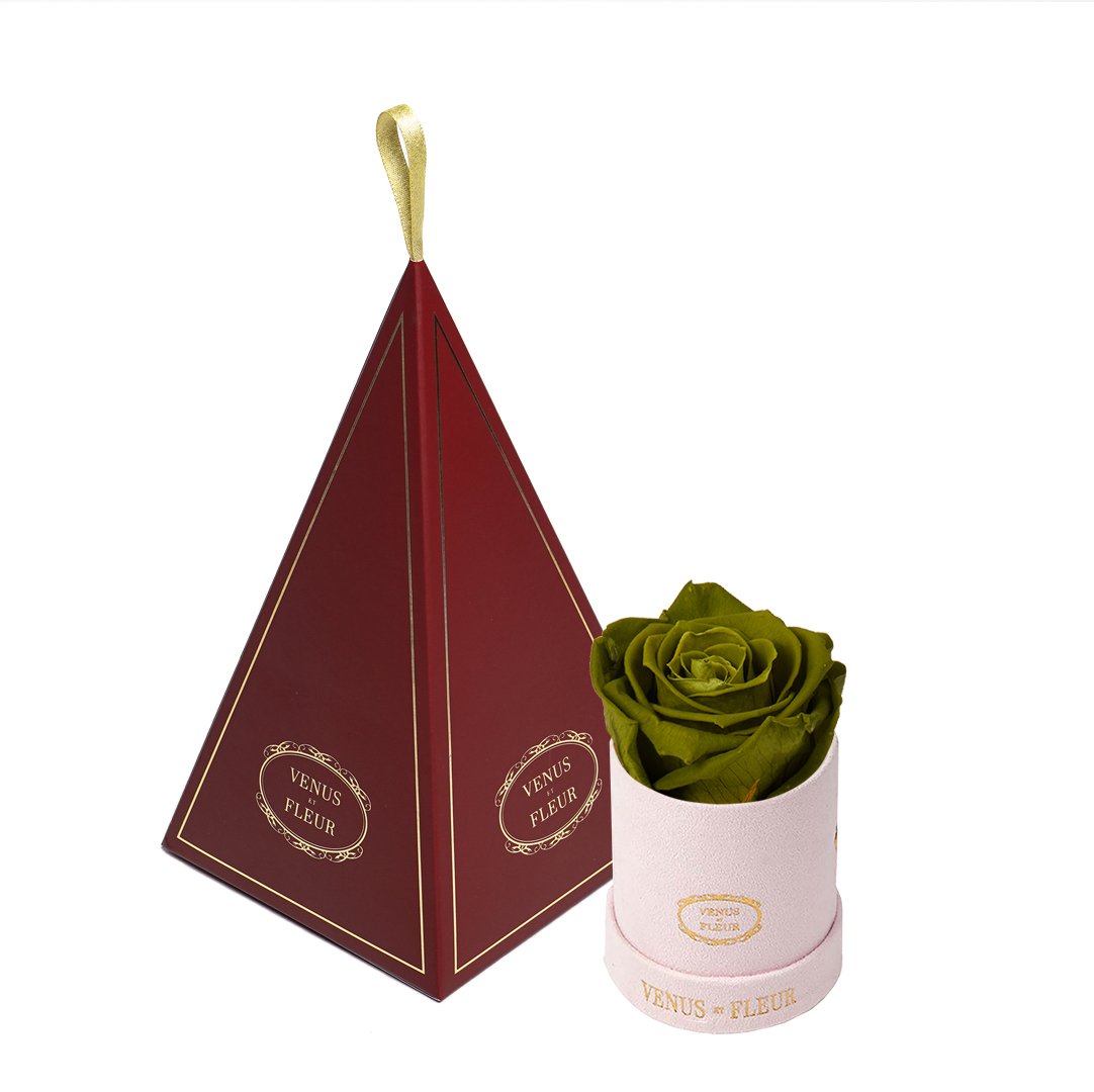 Le Mini™ Ornament
