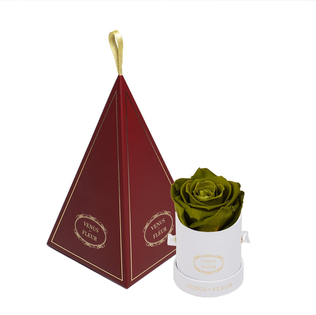 Le Mini™ Ornament