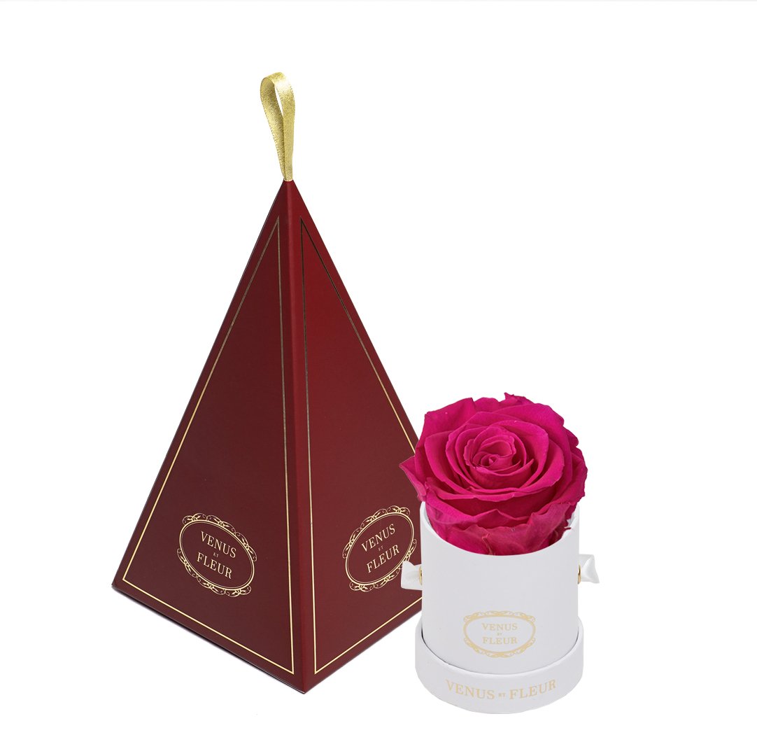 Le Mini™ Ornament