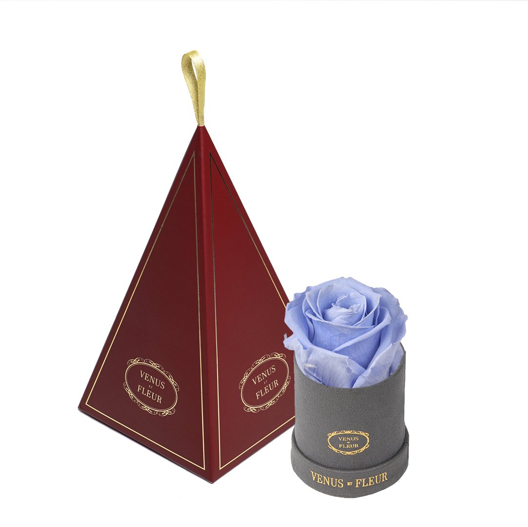 Le Mini™ Ornament