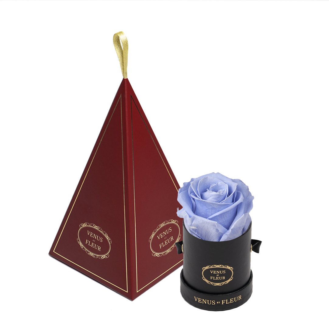 Le Mini™ Ornament