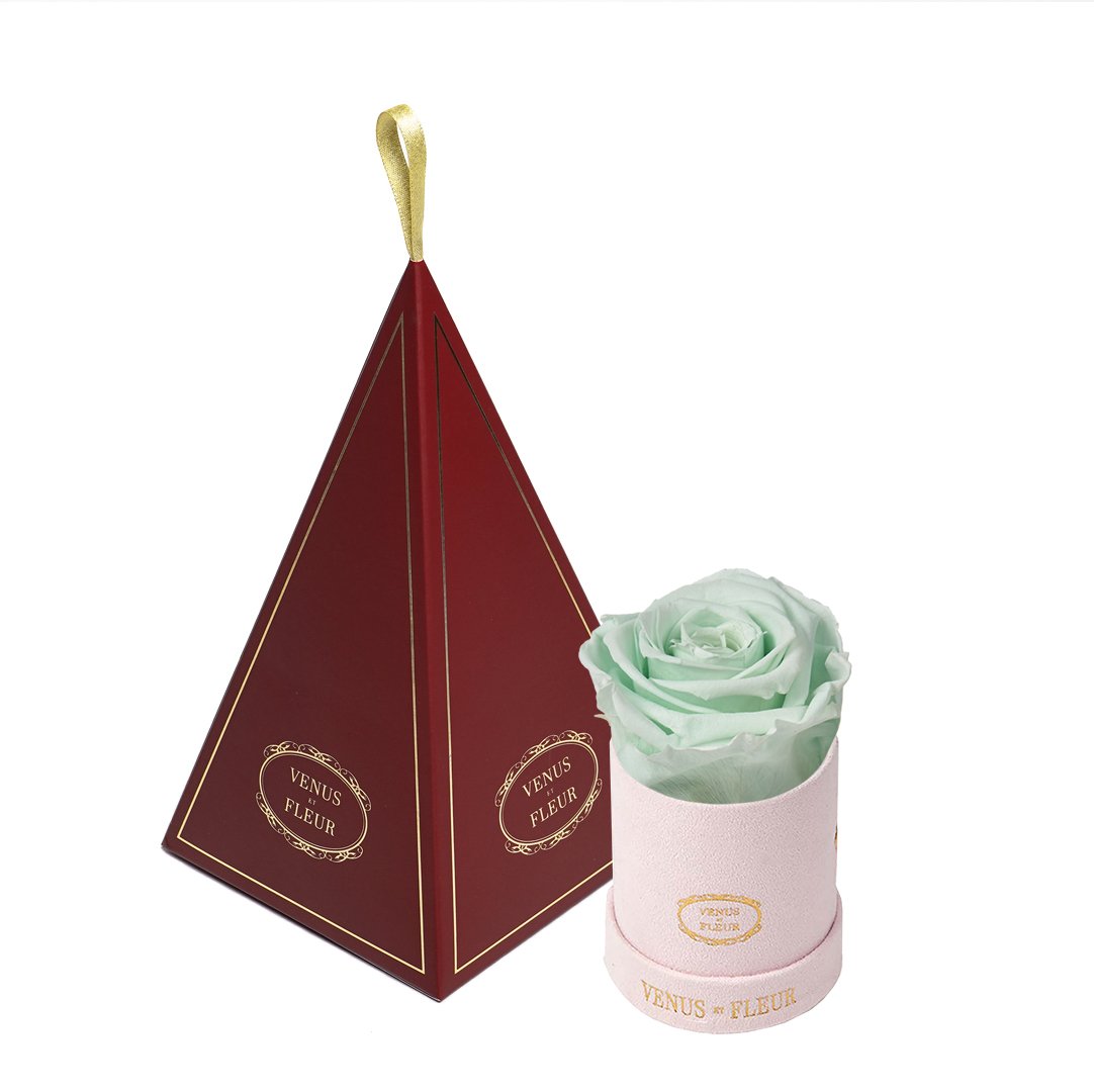 Le Mini™ Ornament