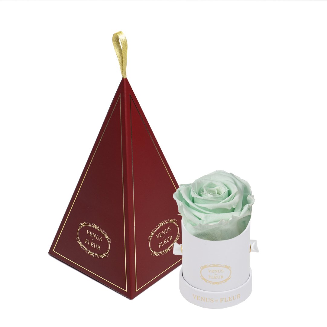 Le Mini™ Ornament