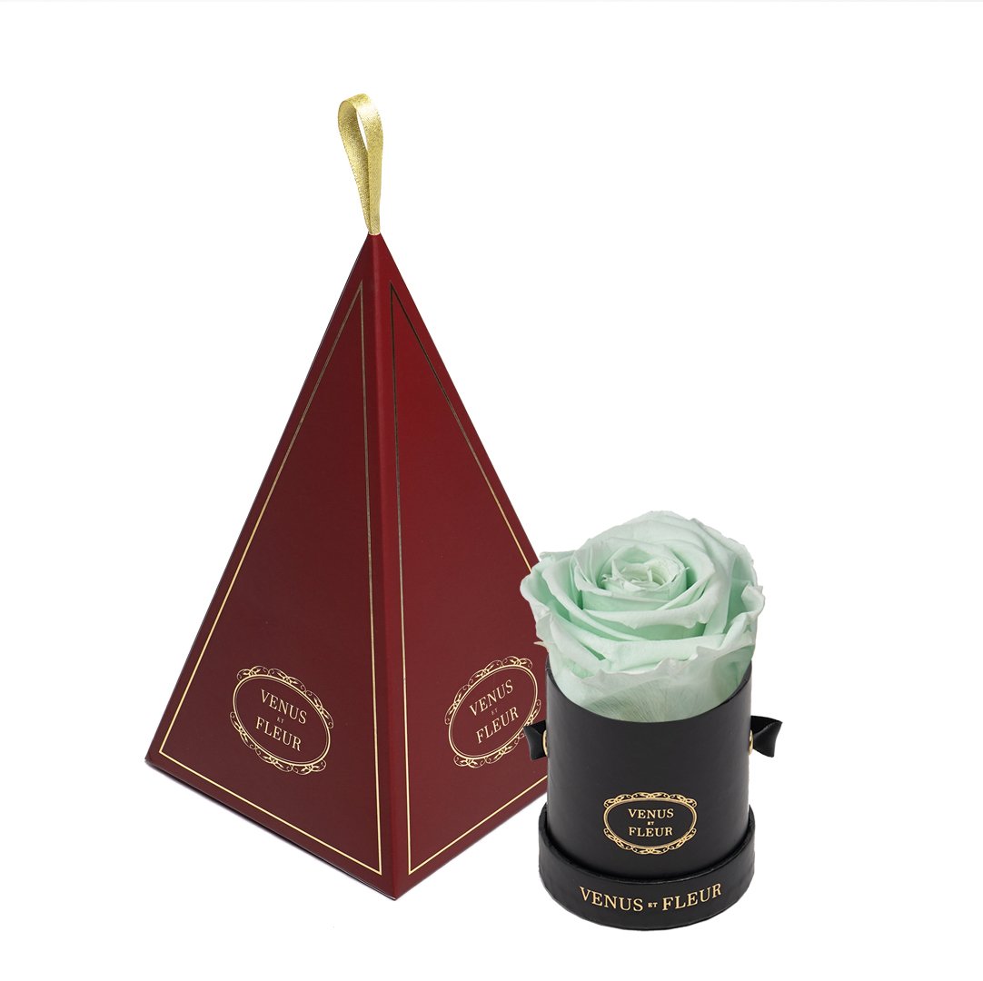 Le Mini™ Ornament