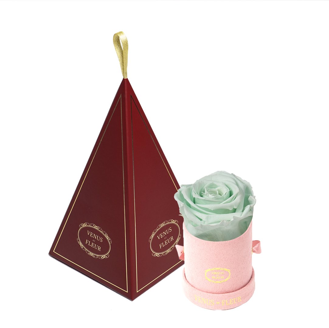Le Mini™ Ornament