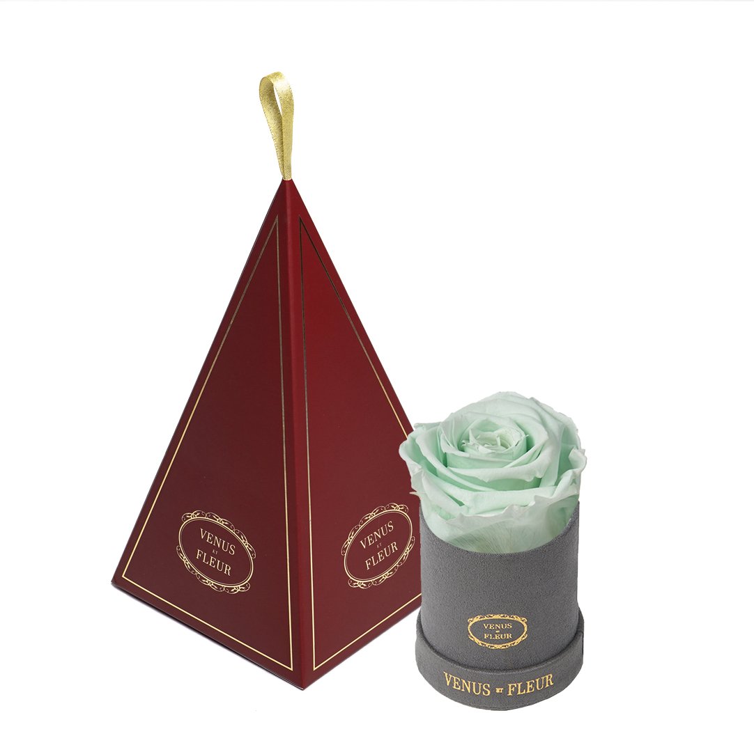 Le Mini™ Ornament