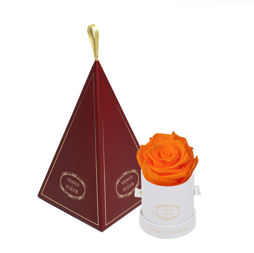 Le Mini™ Ornament