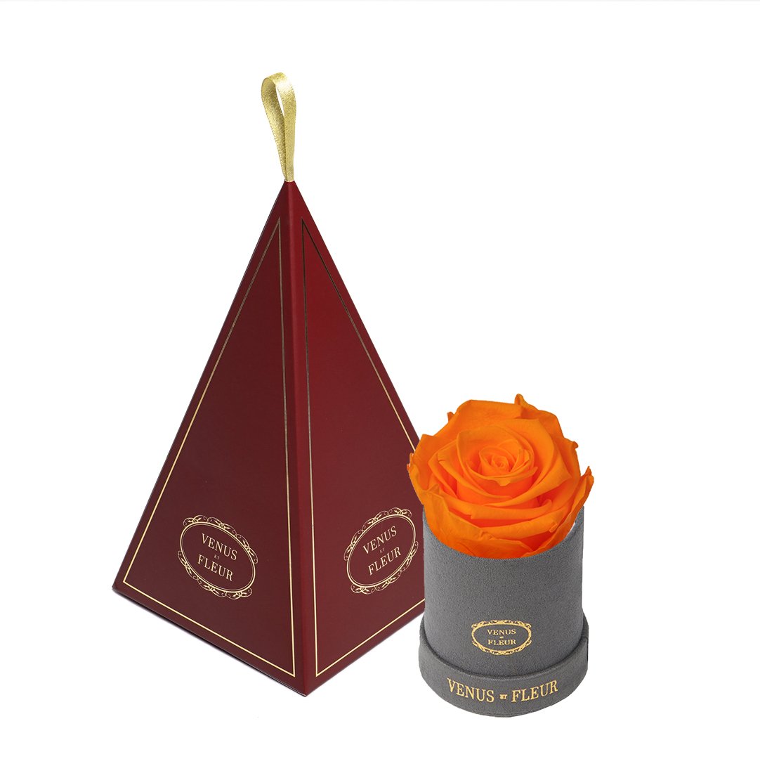 Le Mini™ Ornament