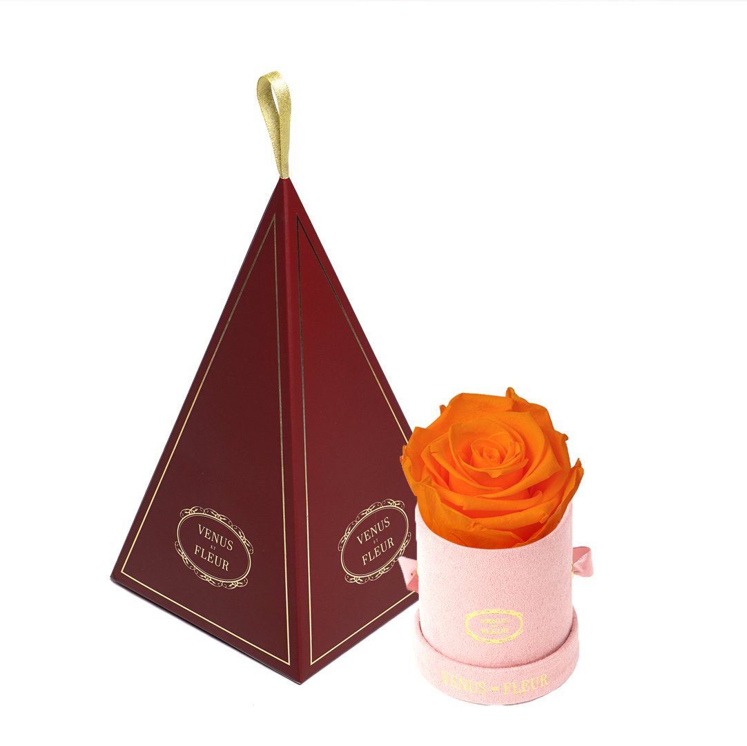 Le Mini™ Ornament