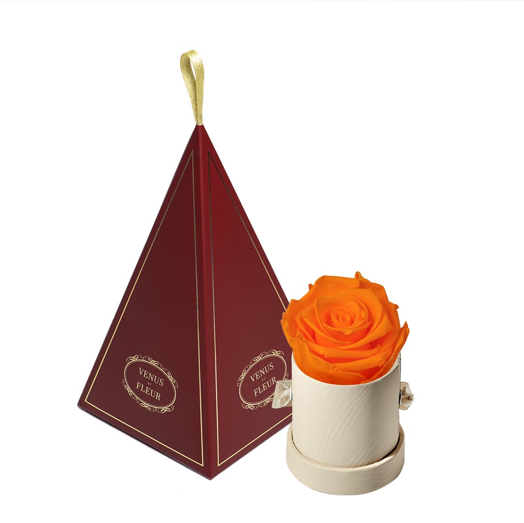 Le Mini™ Ornament