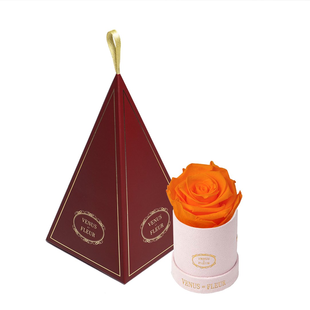 Le Mini™ Ornament