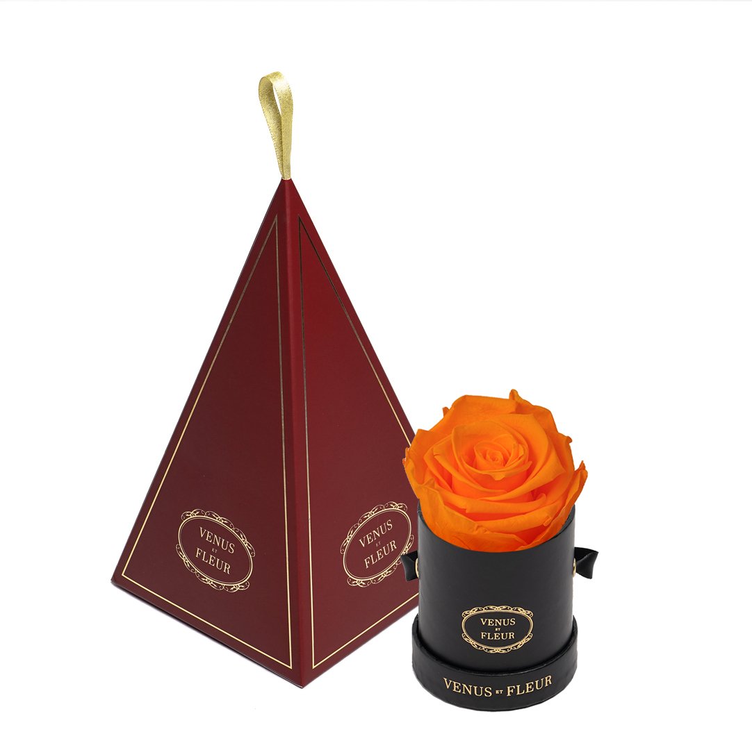 Le Mini™ Ornament
