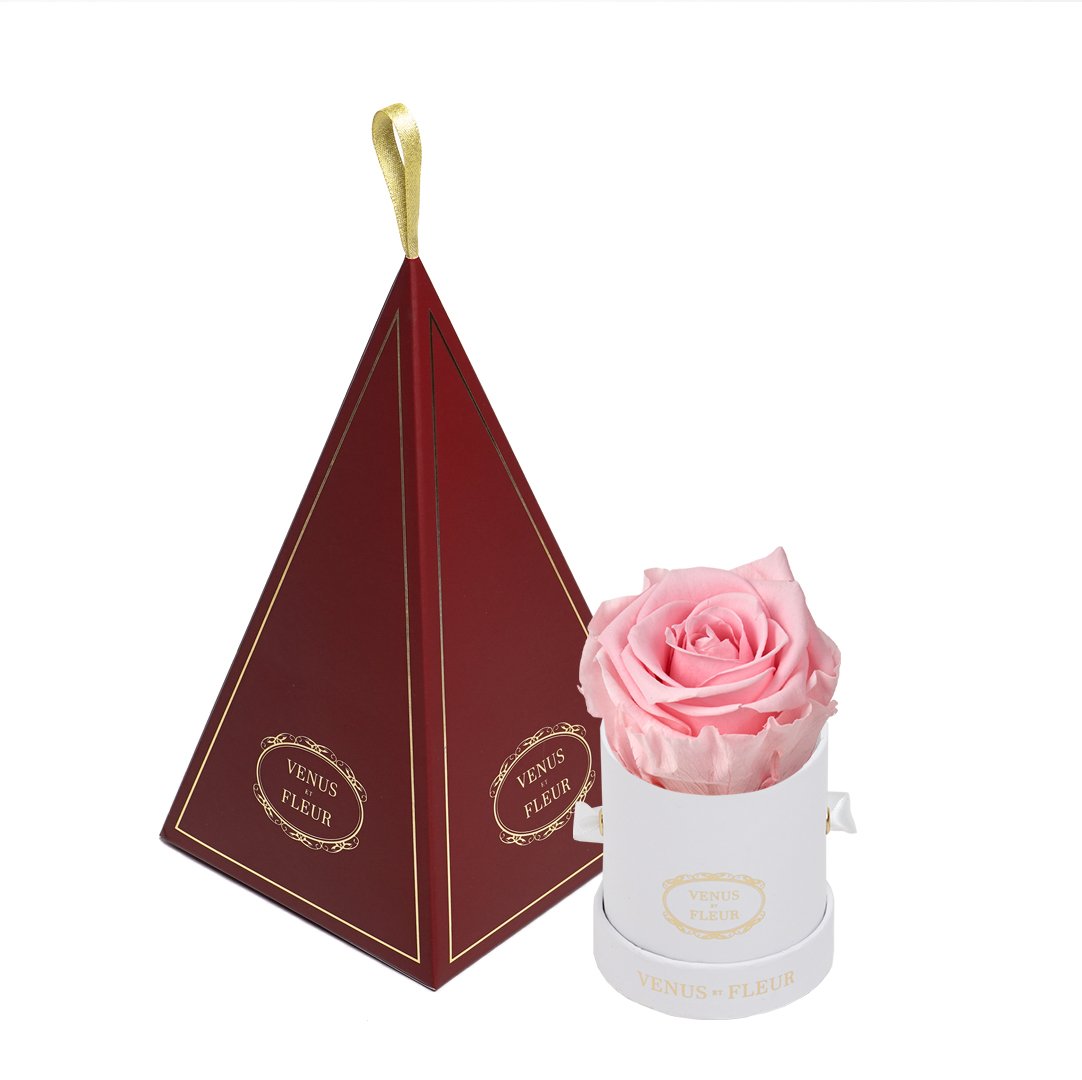 Le Mini™ Ornament