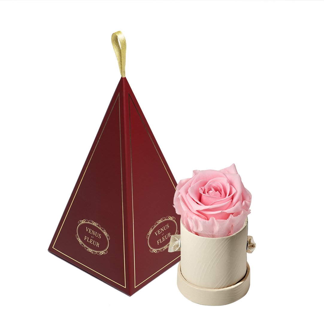 Le Mini™ Ornament