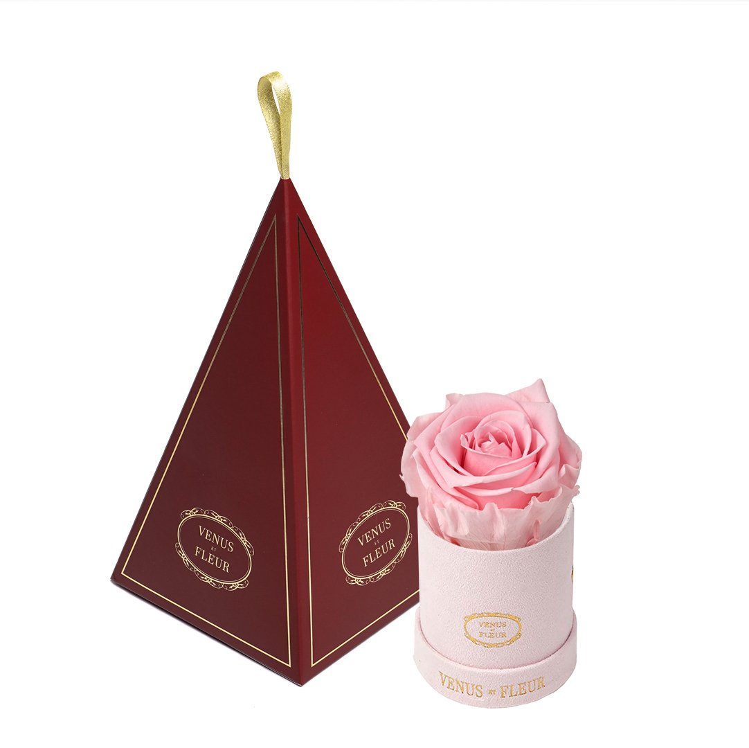 Le Mini™ Ornament