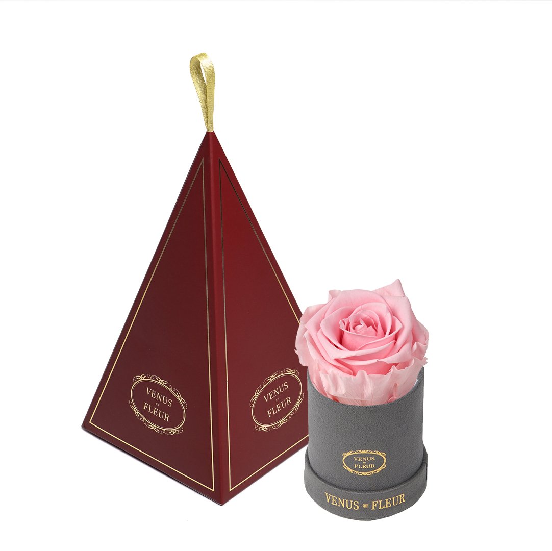 Le Mini™ Ornament