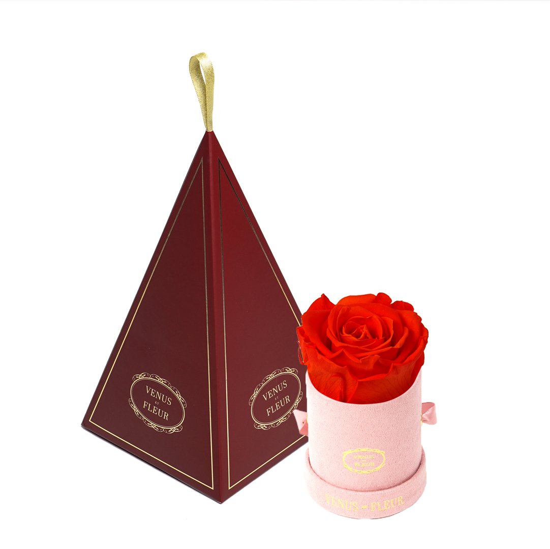 Le Mini™ Ornament