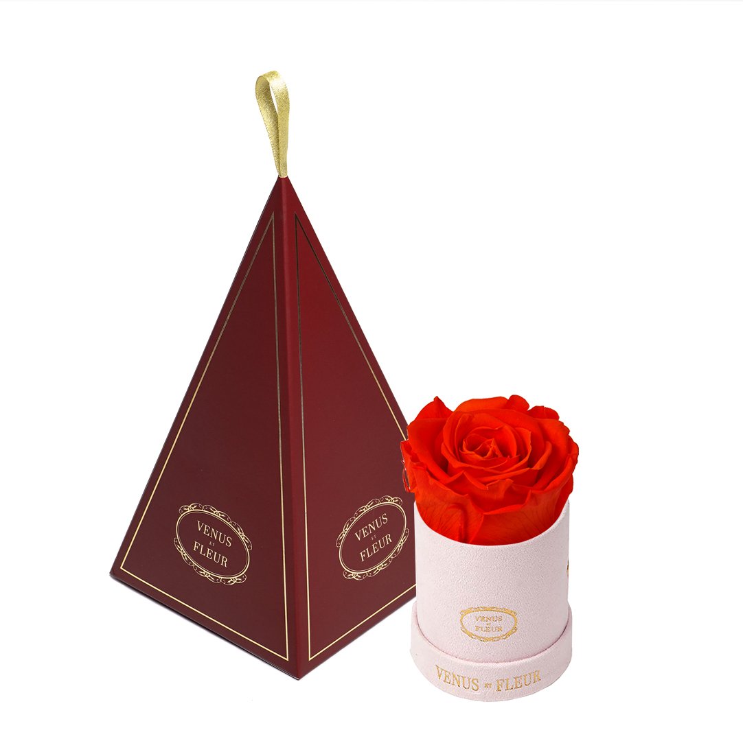 Le Mini™ Ornament