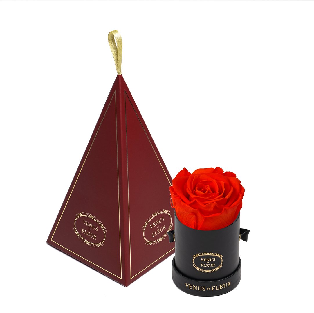Le Mini™ Ornament