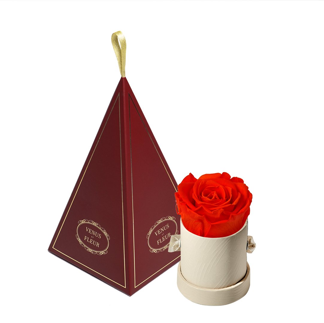 Le Mini™ Ornament