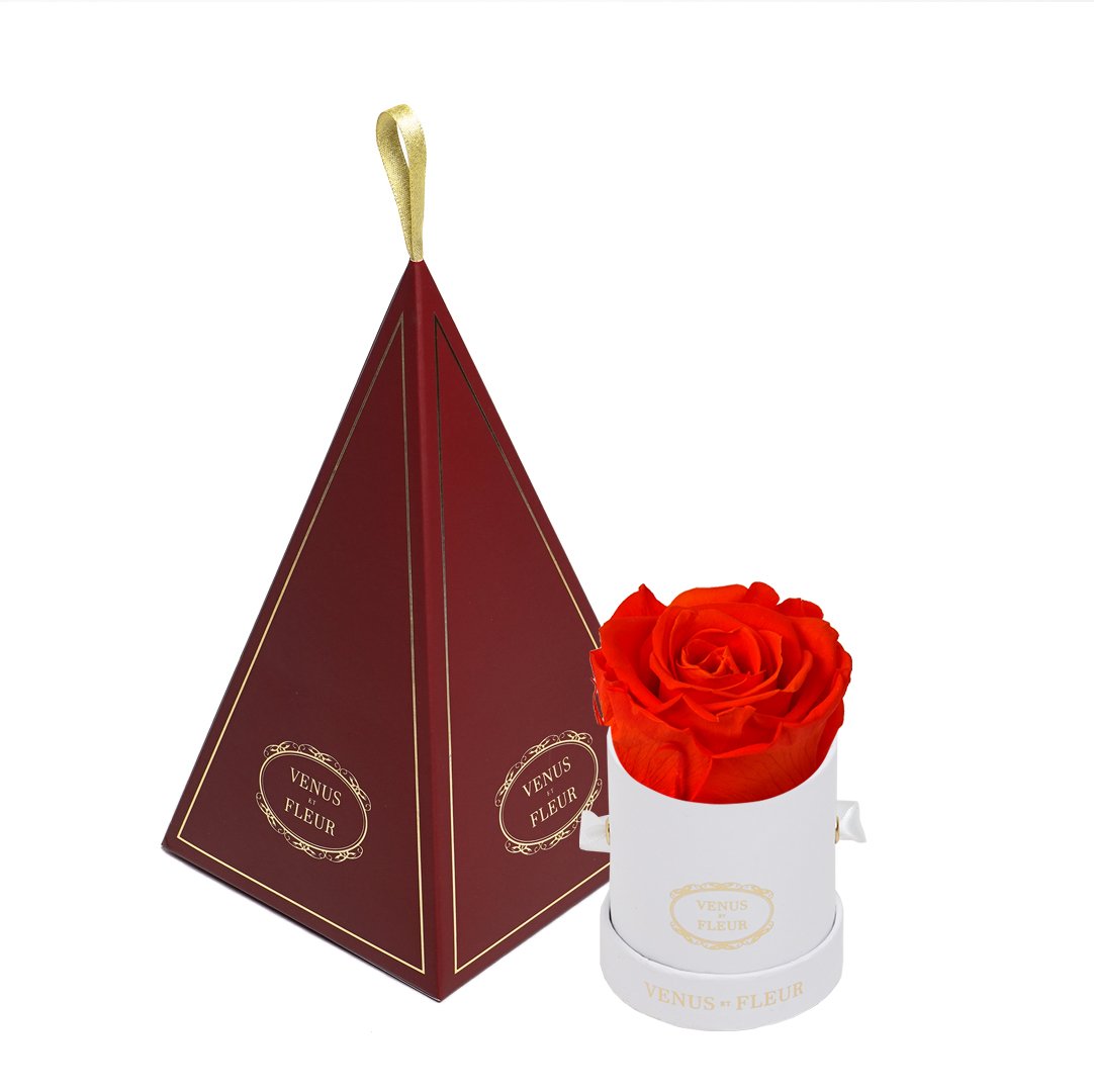 Le Mini™ Ornament