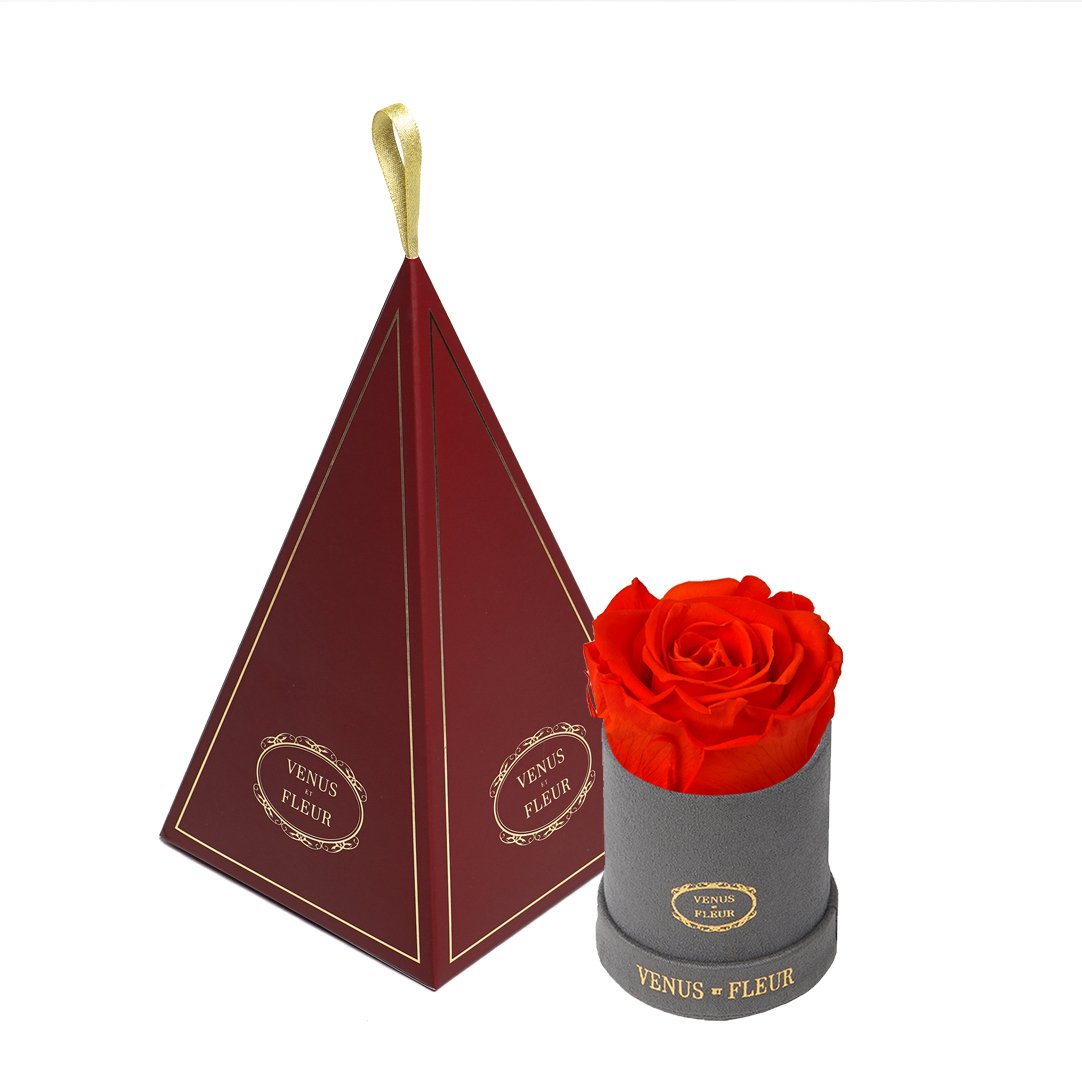 Le Mini™ Ornament