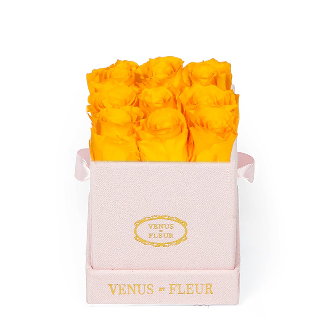 Le Mini™ Square