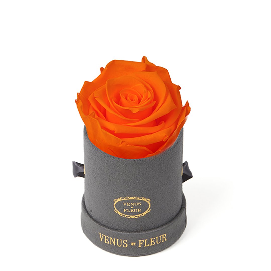 Le Mini™ Round