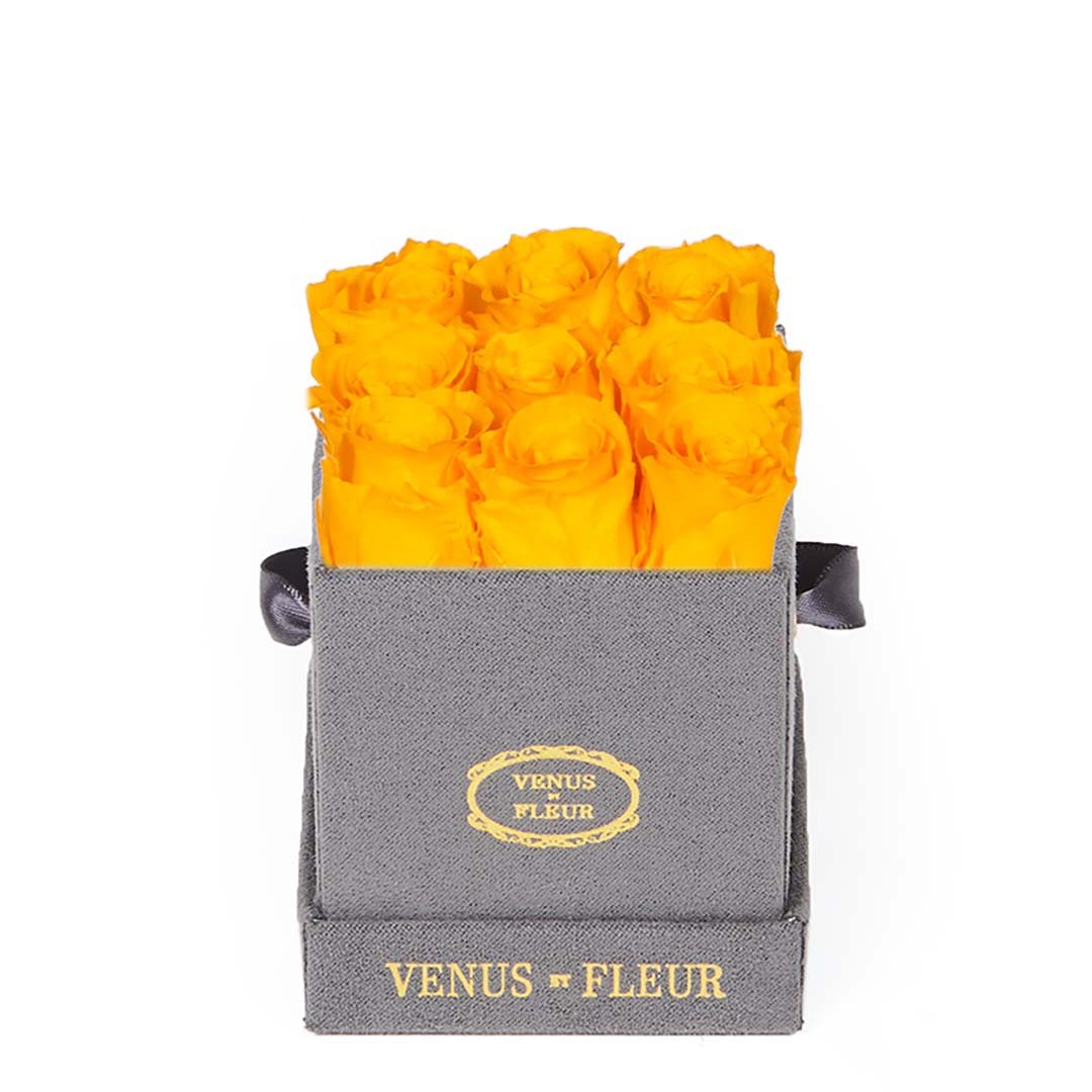 Le Mini™ Square