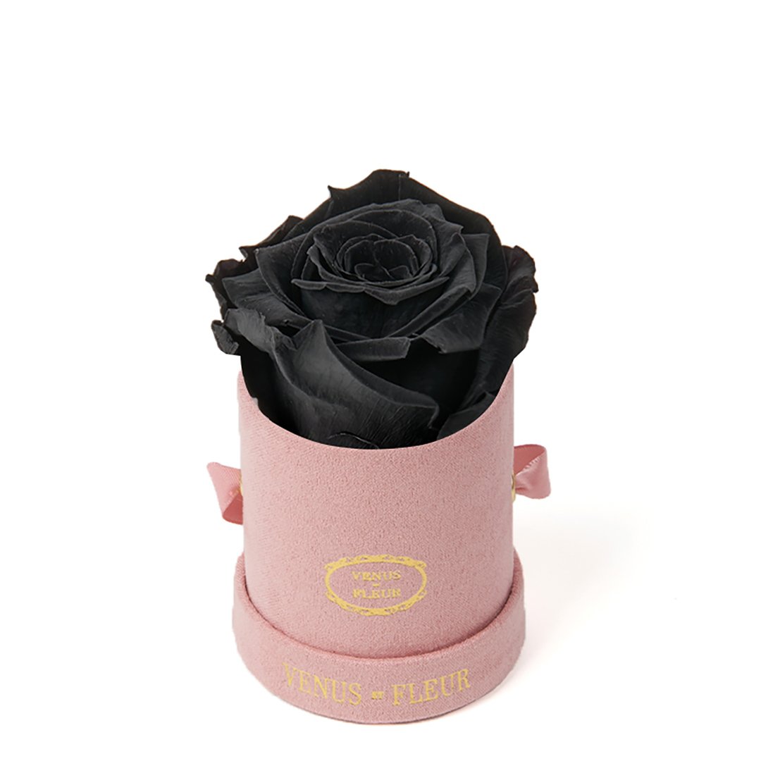 Le Mini™ Round