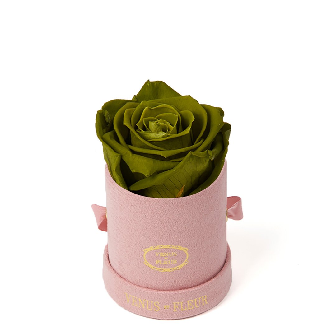 Le Mini™ Round